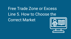 FTZ or Excess Line - 5. How to Choose the Correct Market