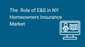 To Each Their Own: The Role of Excess & Surplus Lines Coverage in New York State’s Homeowners Insurance Market